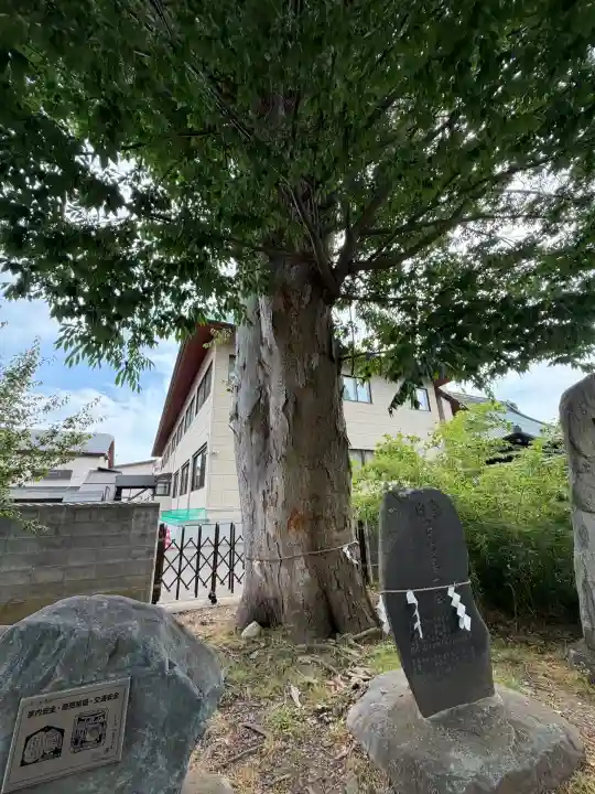三ツ石神社(岩手県)