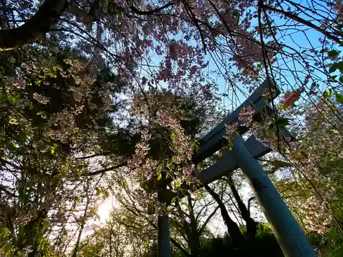 皆神神社(長野県)