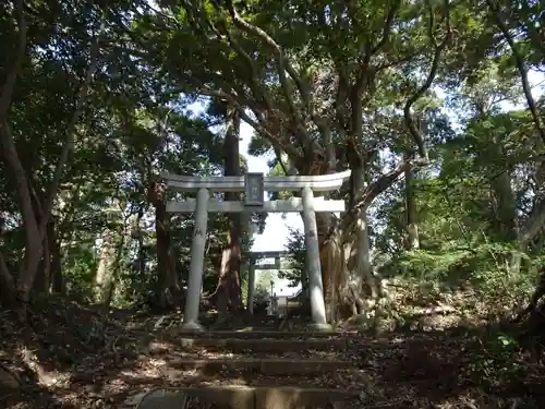 縣神社の鳥居