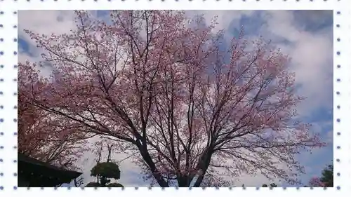 密藏院(埼玉県)