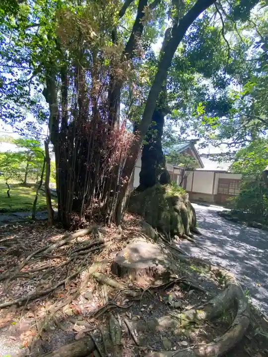 伊雜宮(皇大神宮別宮)(三重県)
