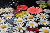 大鏑神社の手水舎