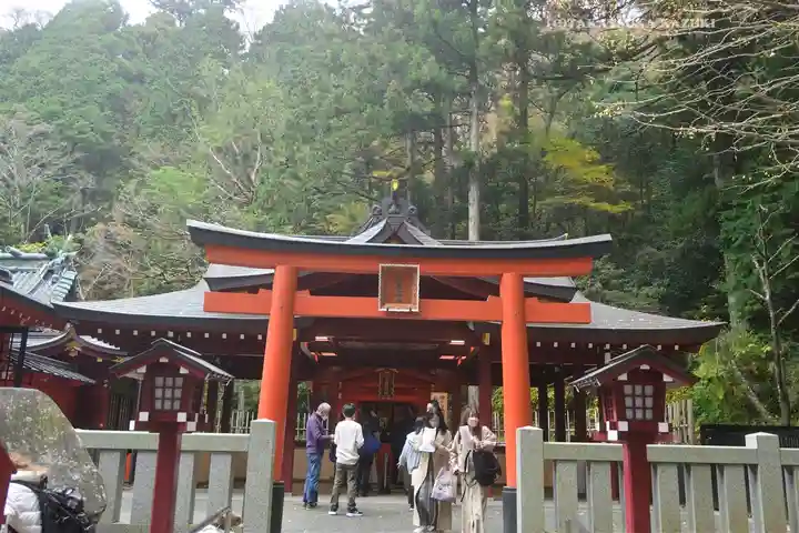 箱根神社(神奈川県)