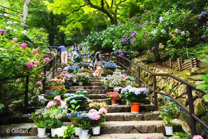 長谷寺(奈良県)