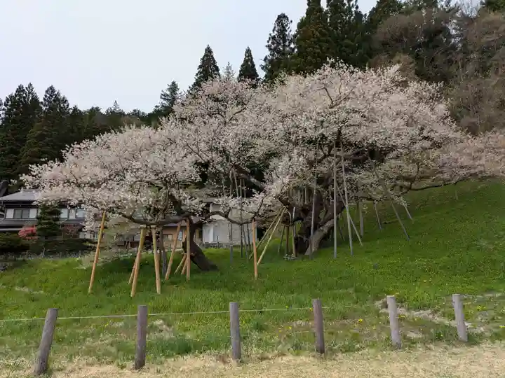 大幢寺(岐阜県)