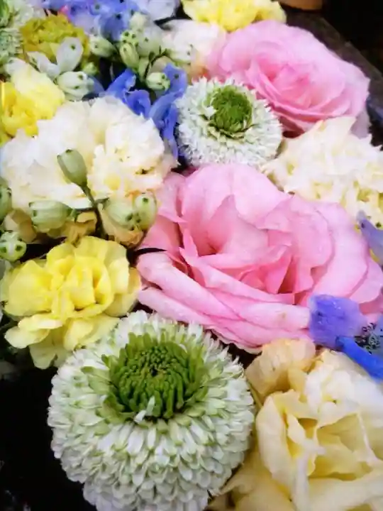 本郷氷川神社(東京都)