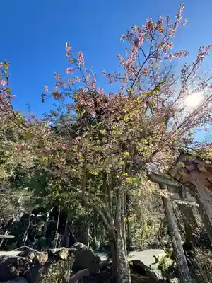 瀧川神社(静岡県)
