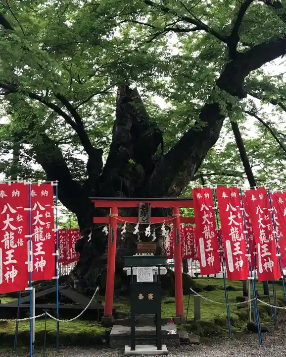 秩父今宮神社の自然