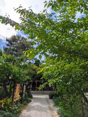 鳩森八幡神社(東京都)