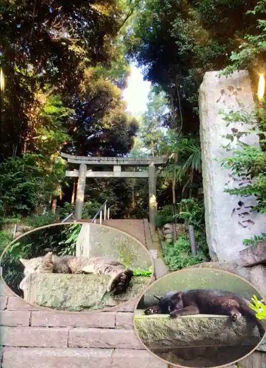 代々木八幡宮(東京都)
