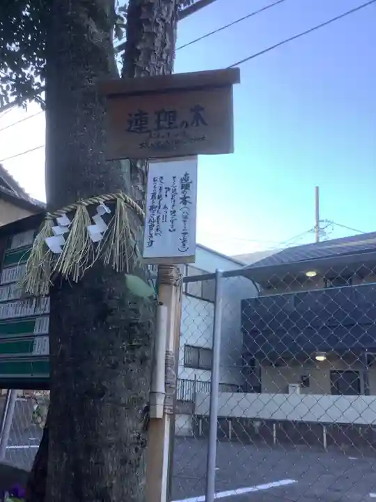 蝮ヶ池八幡宮の自然