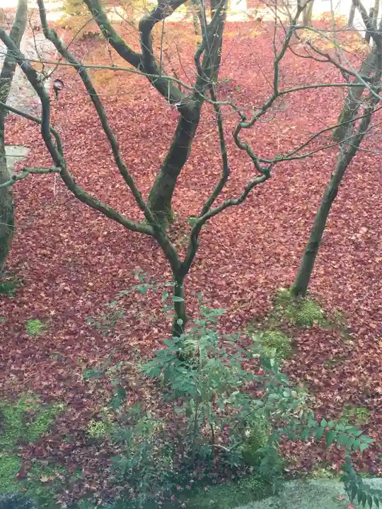 禅林寺(永観堂)の庭園