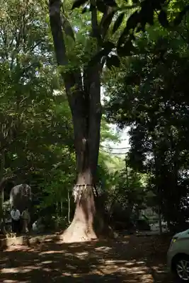 代々木八幡宮(東京都)