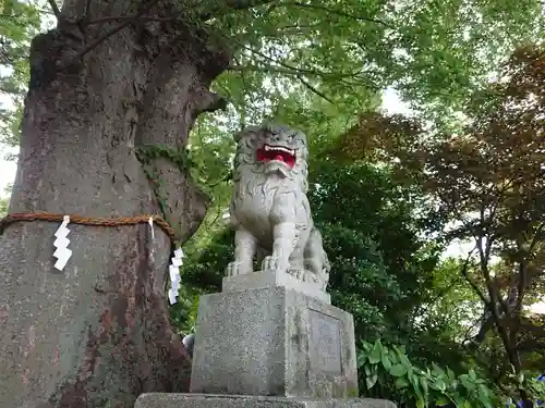 比々多神社の狛犬