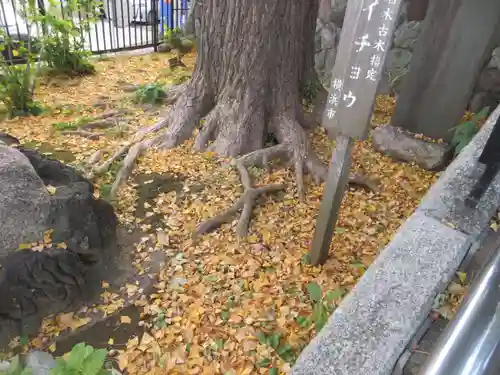 願成寺(神奈川県)