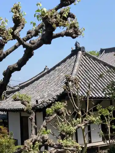 野中寺のその他建物