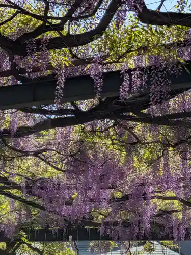 國領神社(東京都)