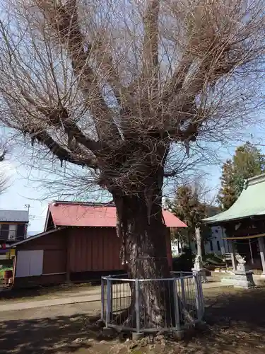 熊野神社(神奈川県)