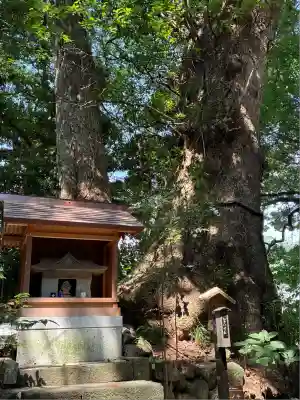 今宮神社(静岡県)
