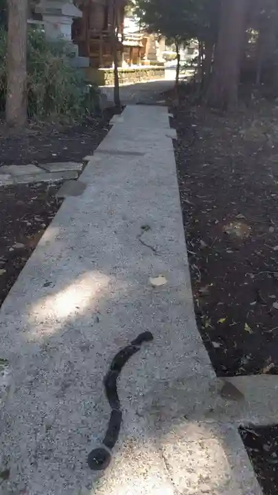 星宮神社のその他建物