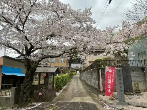 成田観音 円応寺の{uncategorized: "未分類", other: "その他", undefined: "問題あり", building: "その他建物", grave: "お墓", sacred_gate: "鳥居", guardian: "狛犬", statue: "像", buddha: "仏像", history: "歴史", nature: "自然", garden: "庭園", animal: "動物", pagoda: "塔", temizu: "手水舎", mountain_gate: "山門・神門", sanctuary: "本殿・本堂", subordinate: "末社・摂社", art: "芸術", scenery: "景色", jizo: "地蔵", ema: "絵馬", goshuin: "御朱印", omikuji: "おみくじ", items: "授与品その他", amulet: "お守り", goshuincho: "御朱印帳", eats: "食事", festival: "お祭り", votive_dance: "神楽", shichigosan: "七五三参", wedding: "結婚式", experience: "体験その他", initially: "初詣", around: "周辺", anti_infection: "感染症対策"}