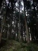 大宮温泉神社(栃木県)