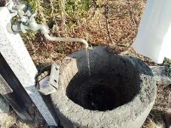 竹生島神社(群馬県)