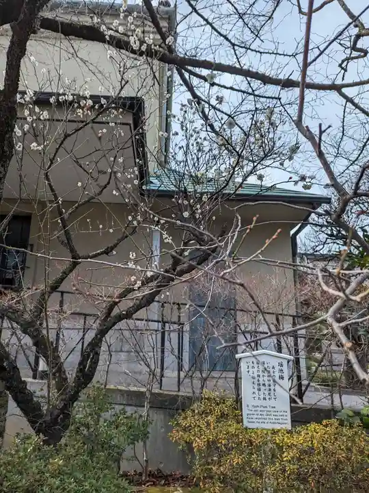 泉岳寺(東京都)