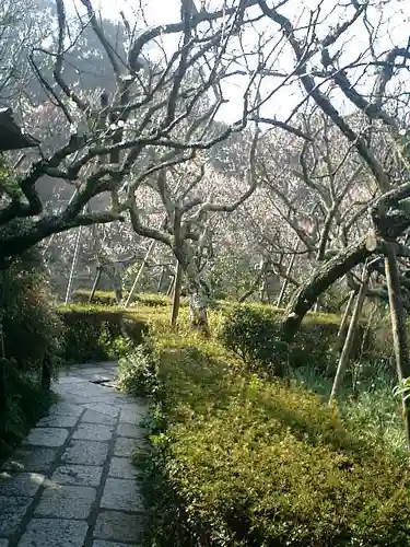 瑞泉寺の庭園