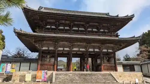 仁和寺の山門・神門