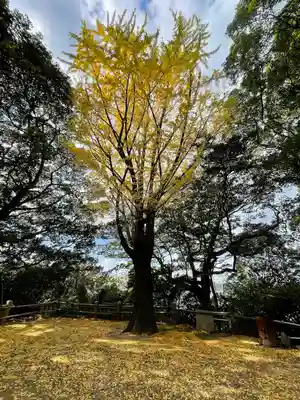 羽山神社の自然