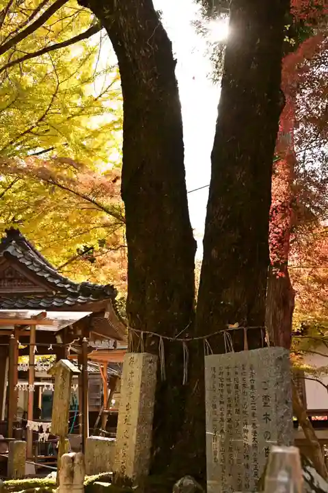 正法寺(滋賀県)