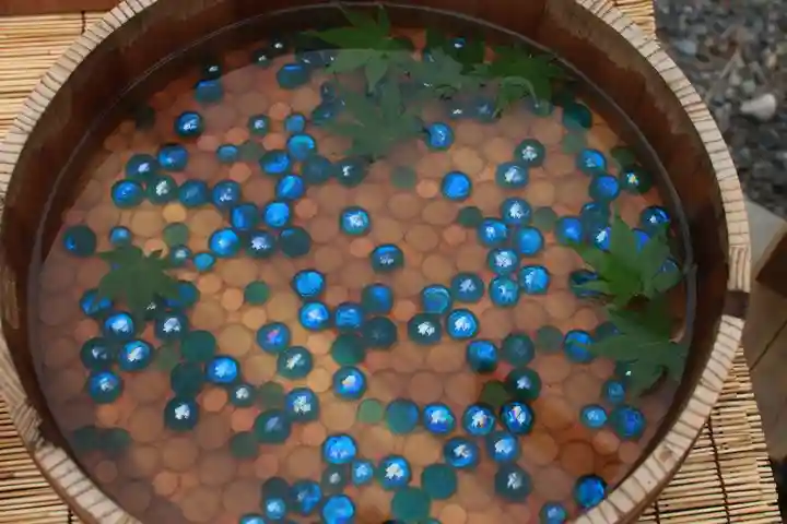 土津神社|こどもと出世の神さまのおみくじ