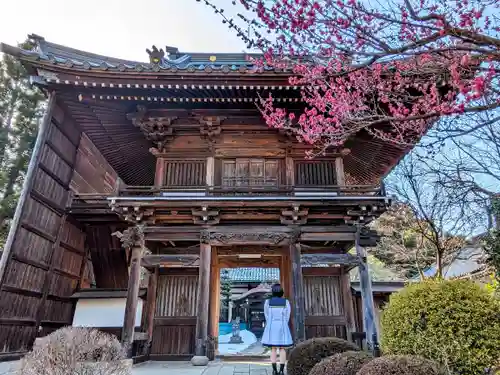 法音寺の山門