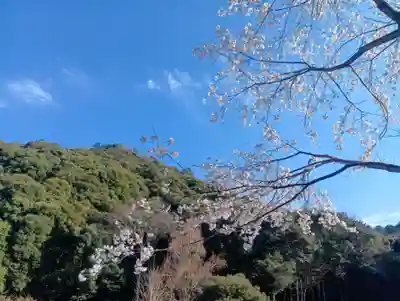 岐阜護國神社(岐阜県)