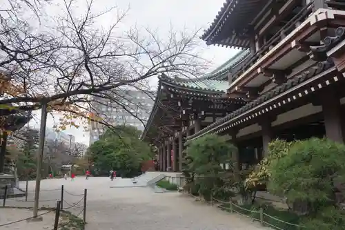 東長寺の建物その他