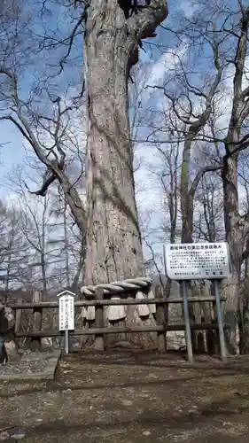 義經神社の自然