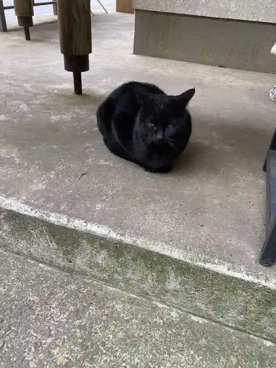 間々田八幡宮(栃木県)