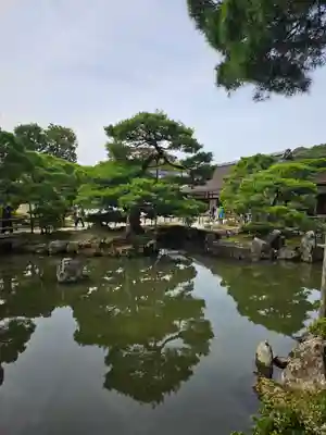 慈照寺（慈照禅寺・銀閣寺）(京都府)