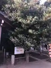 日枝神社水天宮の建物その他