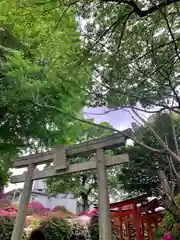 根津神社の鳥居