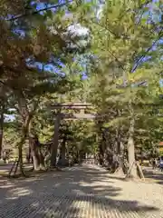 出雲大社(島根県)