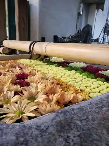 高円寺氷川神社の手水舎