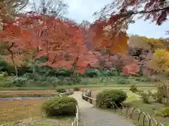 明治神宮の庭園