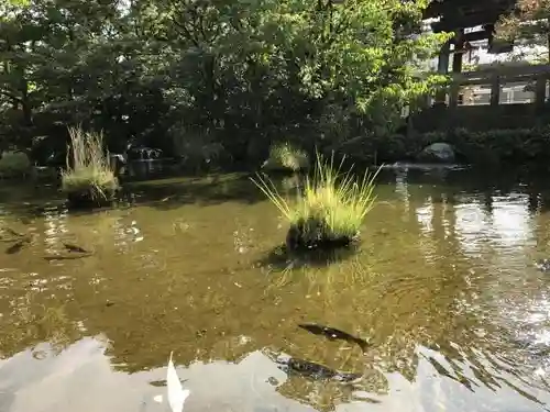 西新井大師総持寺の庭園