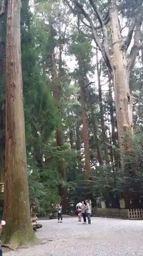 高千穂神社の自然