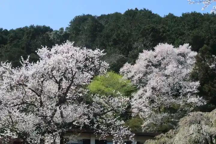 霞渓寺(岐阜県)