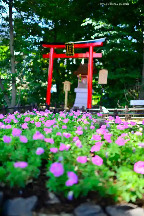 川越八幡宮(埼玉県)