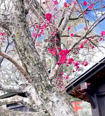 瀧宮神社(広島県)