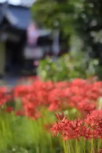 磐井神社の自然